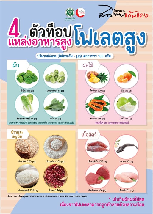 4 ตัวท็อป ✨✨